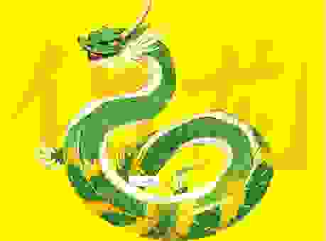 揭秘川流不息的生肖，原来是龙！