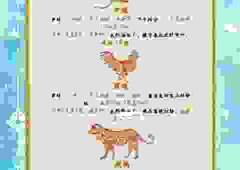 南征北战是什么生肖？了解一下生肖的秘密。