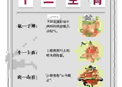文质彬彬猜一生肖,你知道是哪个生肖吗?