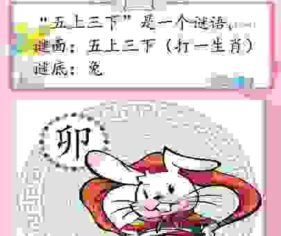 谜底揭晓!天长地久打一生肖,原来是这个!