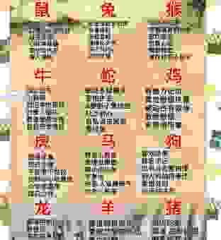 十七十八正少年是什么生肖？属羊和属猴的性格全解析