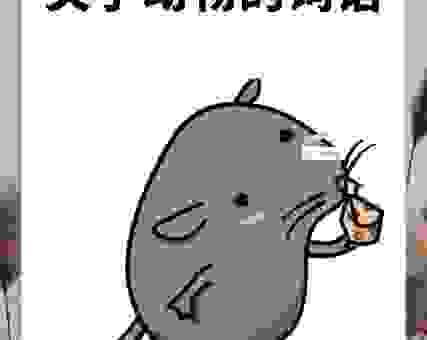 鱼目混珠打一生肖是什么？这个答案你绝对想不到！