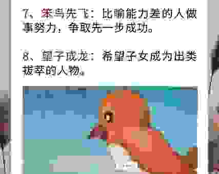 鱼目混珠打一生肖是什么？这个答案你绝对想不到！
