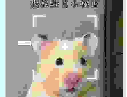 古人心事谁能懂?“羡君终解古人心”打一正确生肖揭秘!