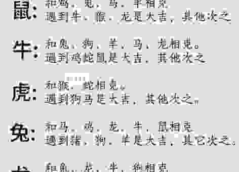 五字当头居天下生肖是什么意思？一文读懂生肖文化！