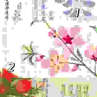 想知道逍遥法外打一正确生肖?这里有答案!