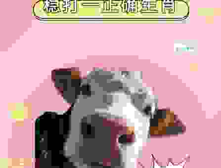 想知道逍遥法外打一正确生肖？这里有答案！