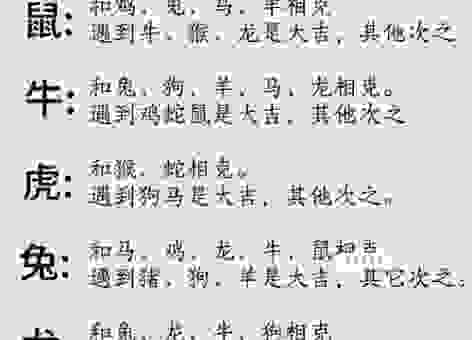 偷天换日是哪个生肖?了解这个生肖秘而不宣!