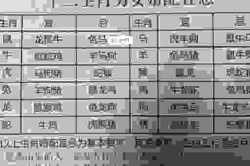 铺天盖地是什么生肖?听听专家怎么说!