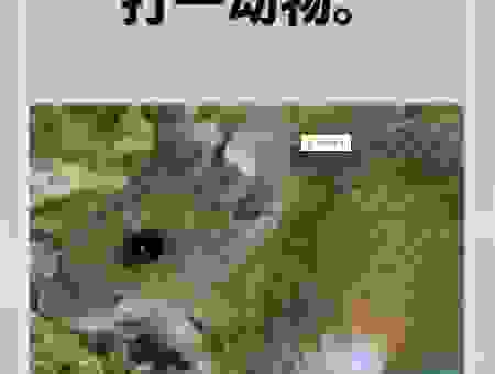 农村老人说的家中宝，原来是指这个生肖！