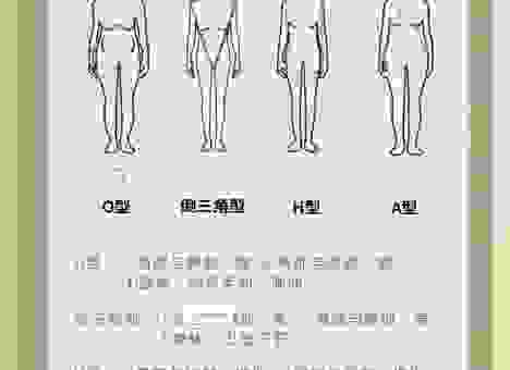 硕大无比打一生肖是什么？从体型上来看是这几个！