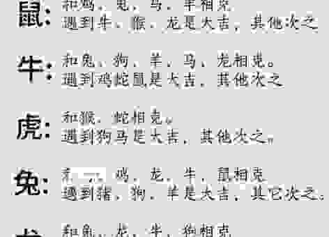 登堂入室打一正确生肖是什么？答案就藏在里面！