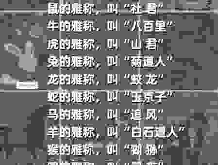 什么生肖最堂堂正正?这三个生肖名不虚传!