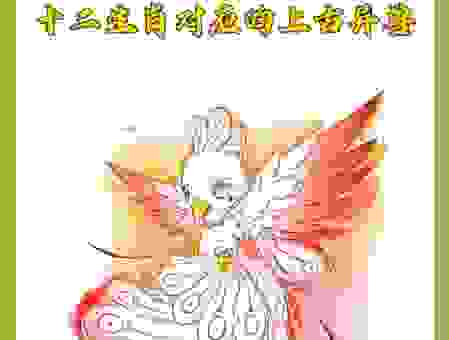冰瓯雪椀是哪个生肖？看懂这个图就知道！