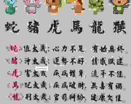 天罗地网最佳生肖答案是什么？看完你就明白了！