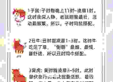滴水不漏是什么生肖？十二生肖大揭秘！