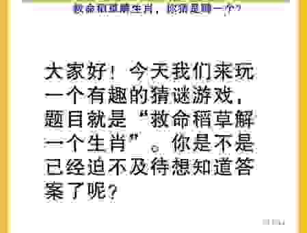 金屋藏娇打一正确生肖是什么？简单答案来了