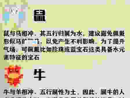 想要知道冰清玉洁是什么生肖?这篇指南告诉你