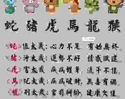 妙笔生花是什么生肖？答案可能出乎你的意料！
