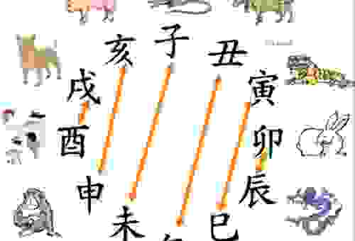 关于南征北战的生肖，这里有详细解析，让你一看就懂！