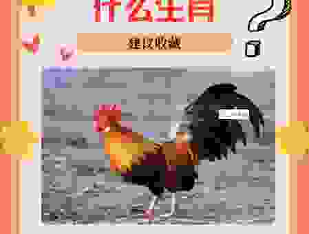 金屋藏娇指什么生肖?这几个生肖在乎另一半很深!