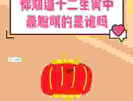 究竟才华出众是什么生肖?看完你肯定会恍然大悟!
