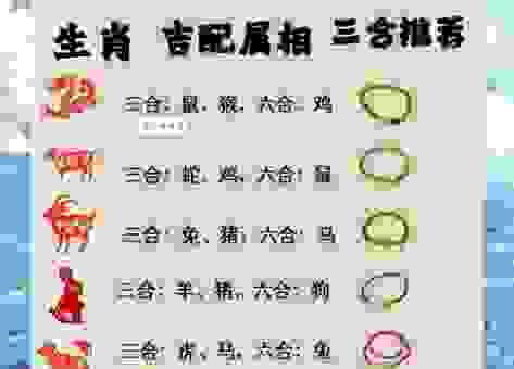 妙手回春是什么生肖?这几个生肖最有潜力!