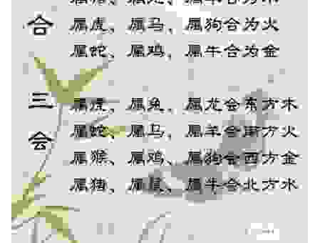 名满天下是什么生肖?专家解析,绝对准确!