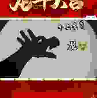 形影不离是什么生肖？属龙的朋友都来看看