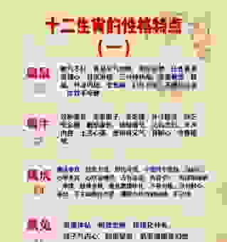 温柔体贴是什么生肖?揭秘最会照顾人的十二生肖!