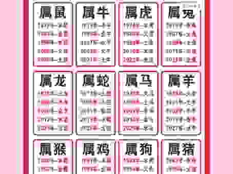 温柔体贴是什么生肖？揭秘最会照顾人的十二生肖！
