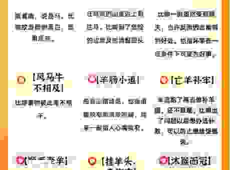 关于一衣带水指什么生肖，这几种说法你知道吗？