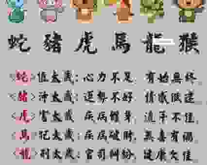 眼高手低的动物是什么生肖？原来我们都猜错了