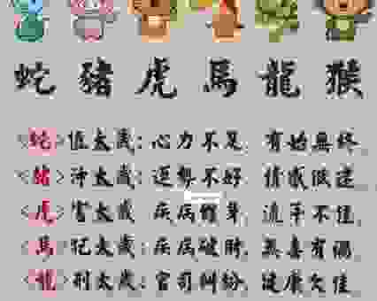 从容不迫是什么生肖？找到你的幸运生肖原来这么简单！