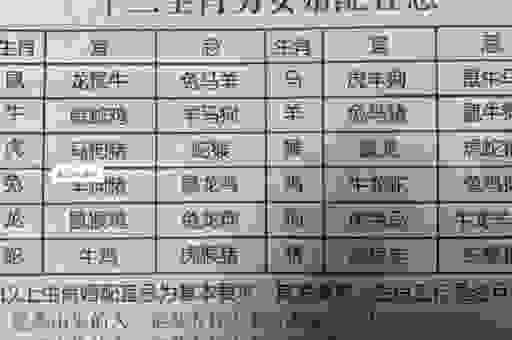 逍遥法外是什么生肖，很多人搞不清楚的原因