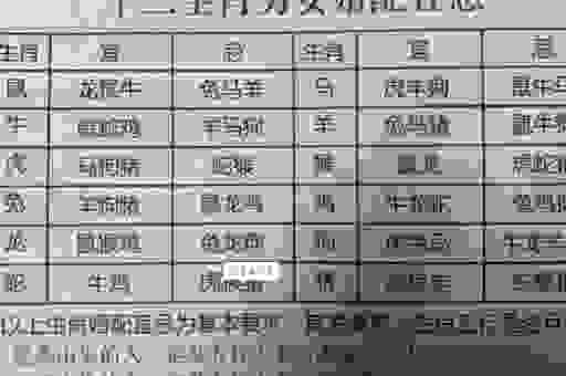 九宫是何是什么生肖？轻松理解生肖与九宫的奥秘！