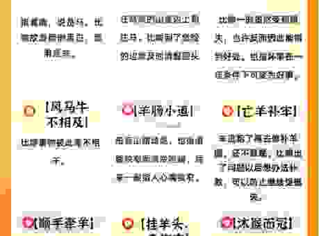 浪子回头打一最佳生肖是什么？这个生肖最让人意想不到！
