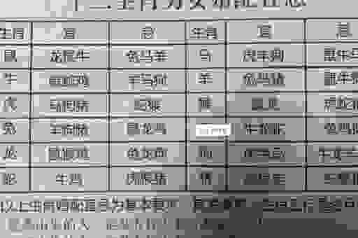 你知道九死一生是指什么生肖吗？答案可能让你意外！