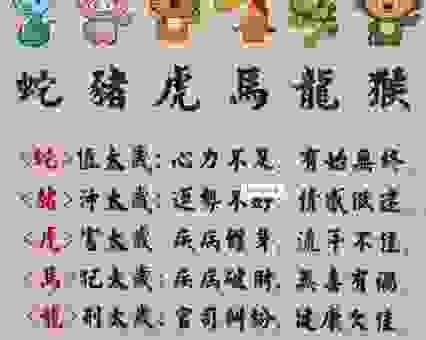 四脚离地不见身这是什么生肖?老一辈都是这样说的!