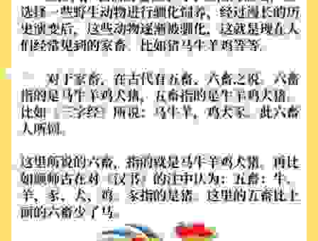 惊弓之鸟是什么生肖?这个答案你肯定想不到!