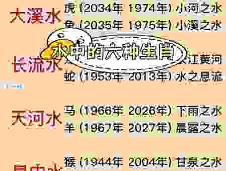 如鱼得水指什么生肖?这些生肖好运连连!
