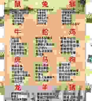 想知道义结金兰是什么生肖？这里有详细解读。