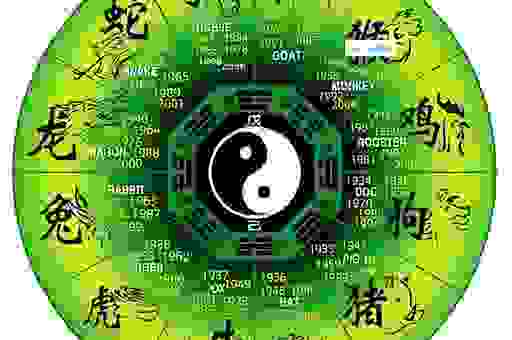 如影随形是什么生肖?这几个生肖最符合!