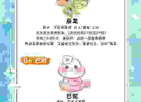 锦上添花生肖正确答案揭秘,不看后悔的生肖知识!