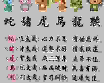 一板三眼数九宫打一最佳生肖，看看你是不是猜对了