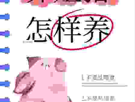 洁身自爱的动物是什么动物生肖？属猪的行为很规矩