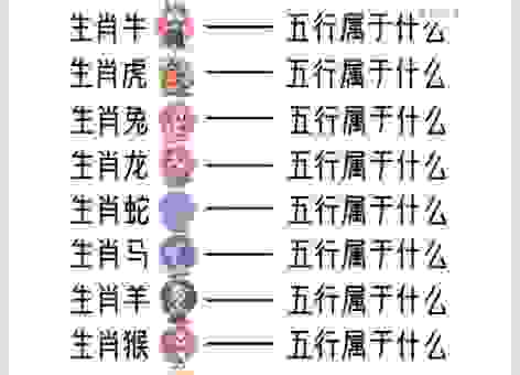 手足相连是什么生肖，这几个生肖最可能！