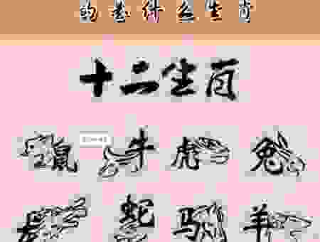 天下无双的动物是什么生肖？这个说法很特别。