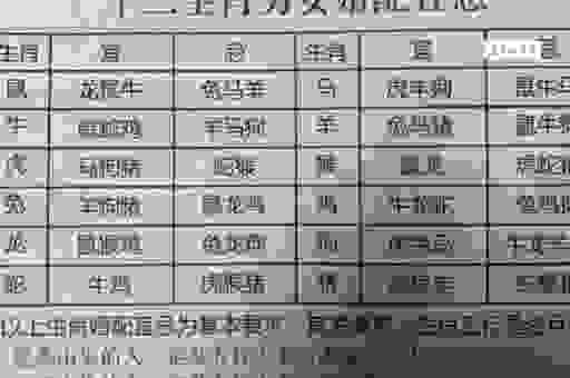 四海扬帆打一个生肖是什么？老玩家经验分享！