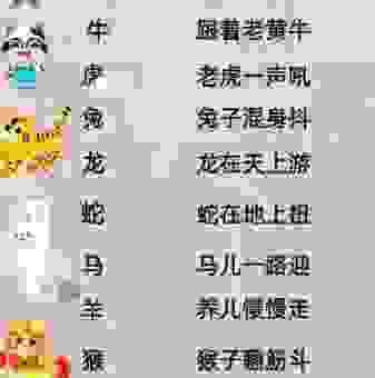 明争暗斗打正确生肖是什么？看完你就懂了！